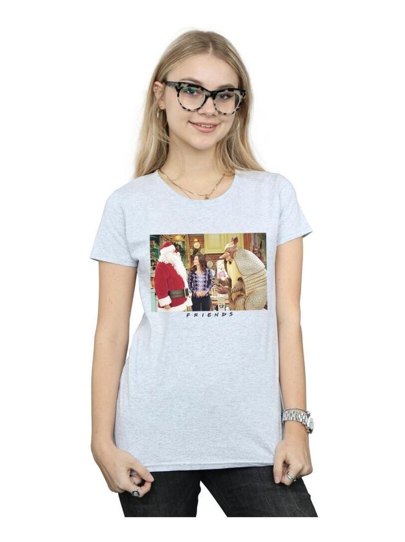 Friends - T-shirt CHRISTMAS ARMADILLO Gris chiné - Kiabi
