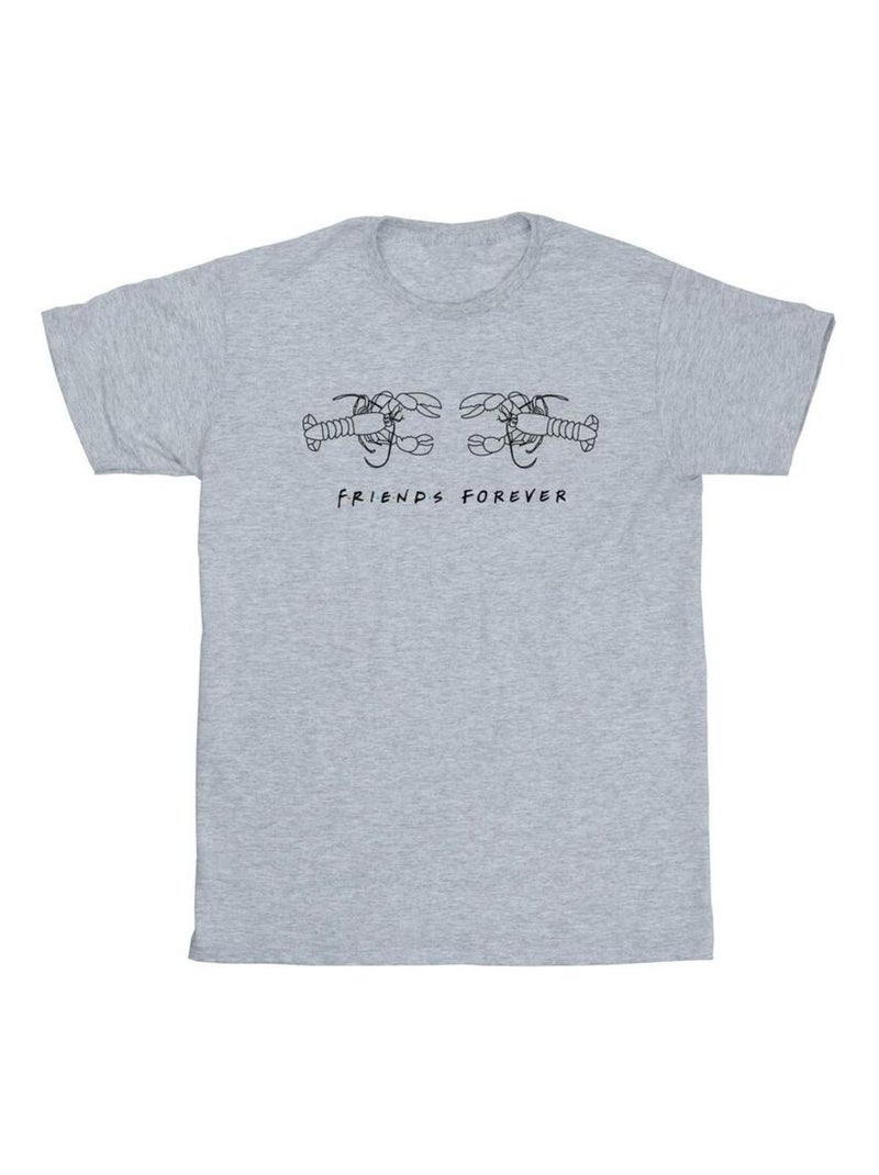 Friends - T-shirt Gris chiné - Kiabi