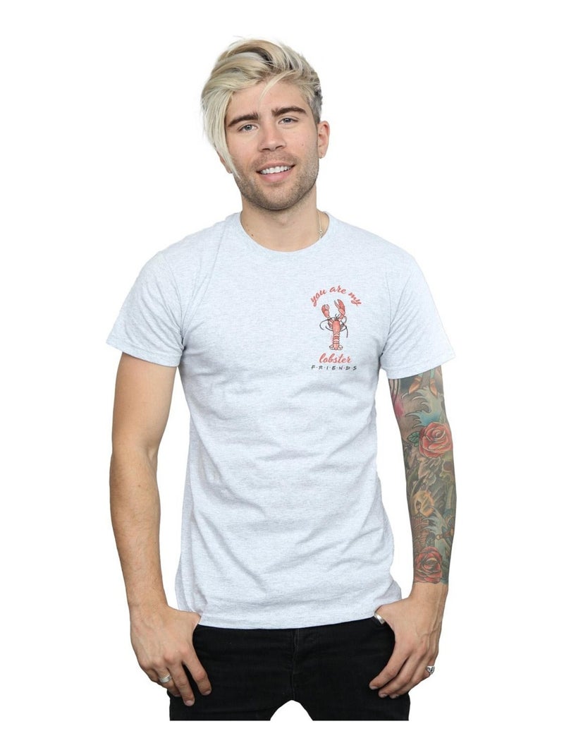 Friends - T-shirt Gris chiné - Kiabi
