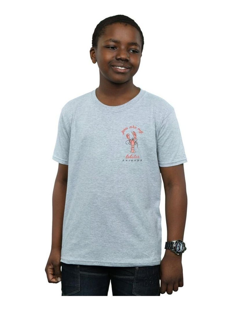 Friends - T-shirt Gris chiné - Kiabi