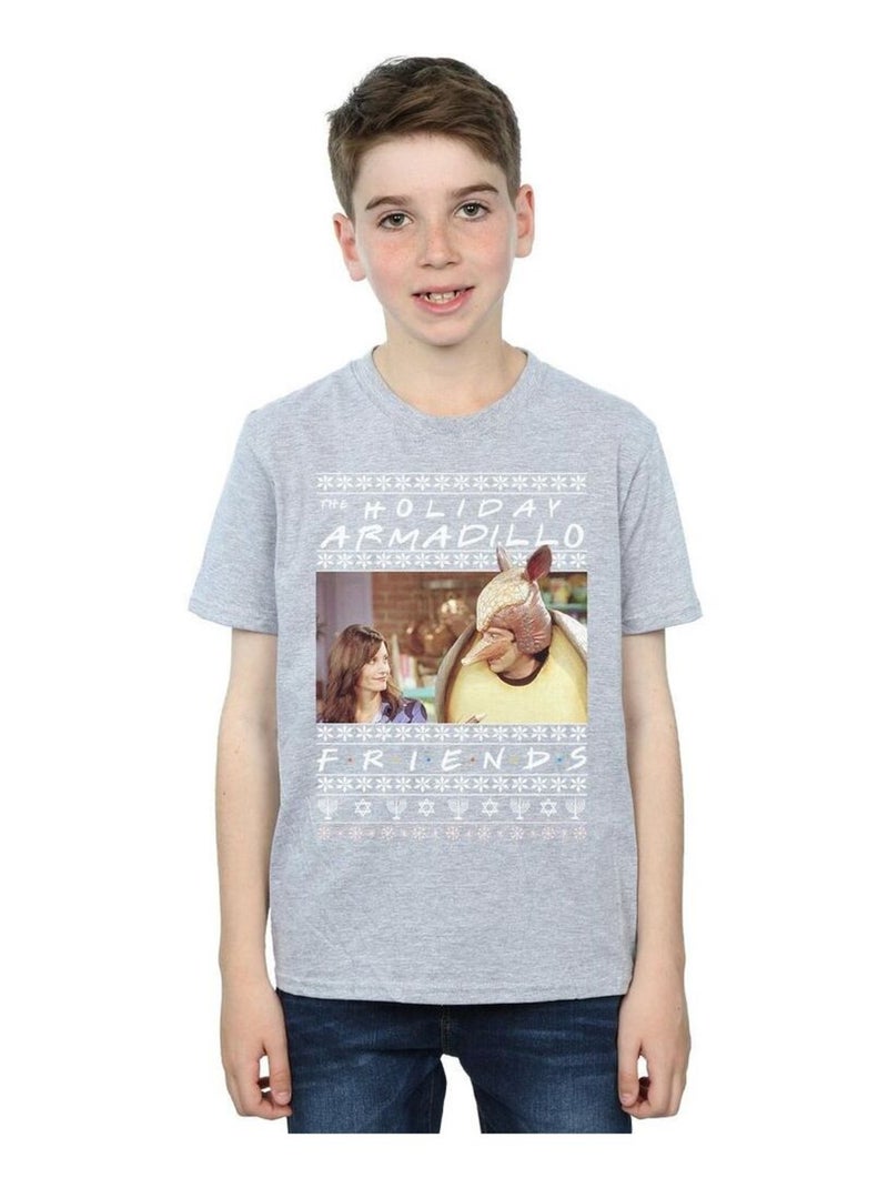 Friends - T-shirt HOLIDAY ARMADILLO Gris chiné - Kiabi