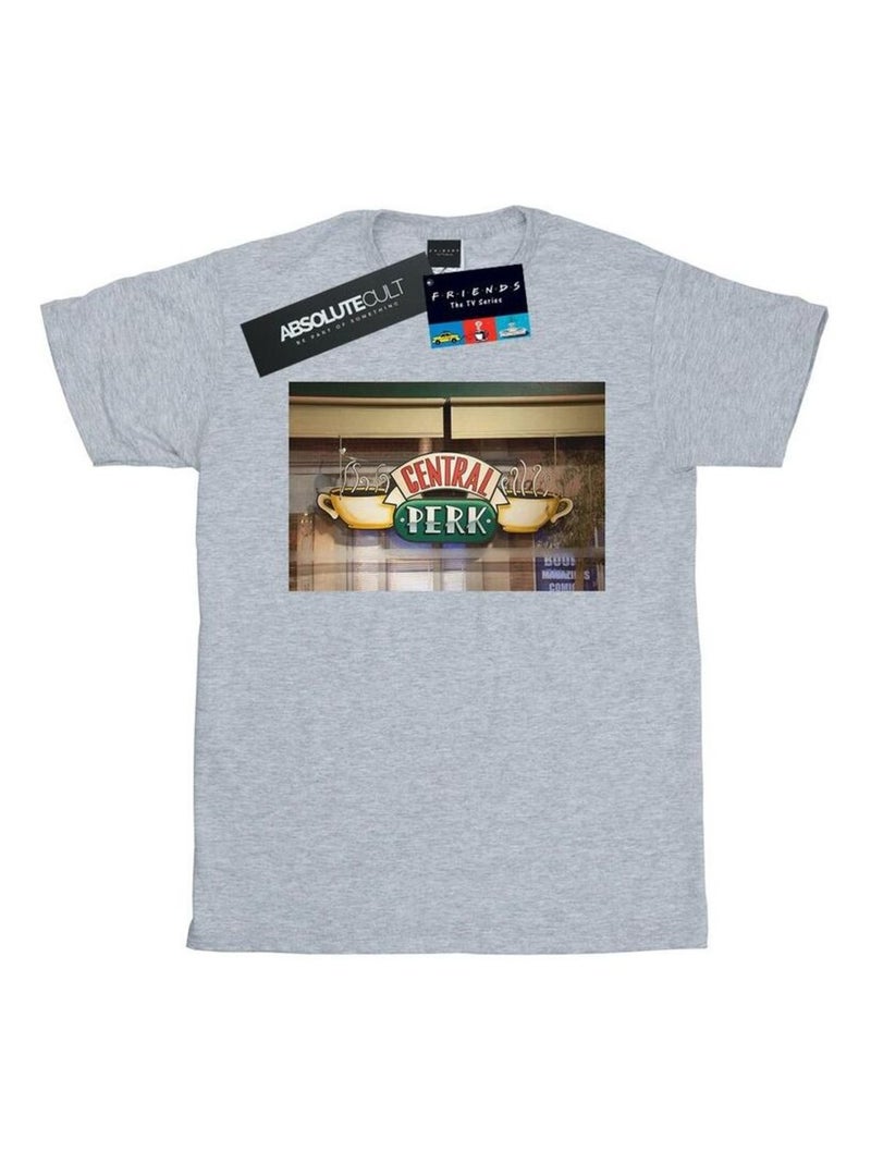 Friends - T-shirt motif/style Photo CENTRAL PERK Gris chiné - Kiabi