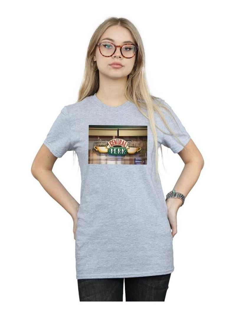 Friends - T-shirt motif/style Photo CENTRAL PERK Gris chiné - Kiabi