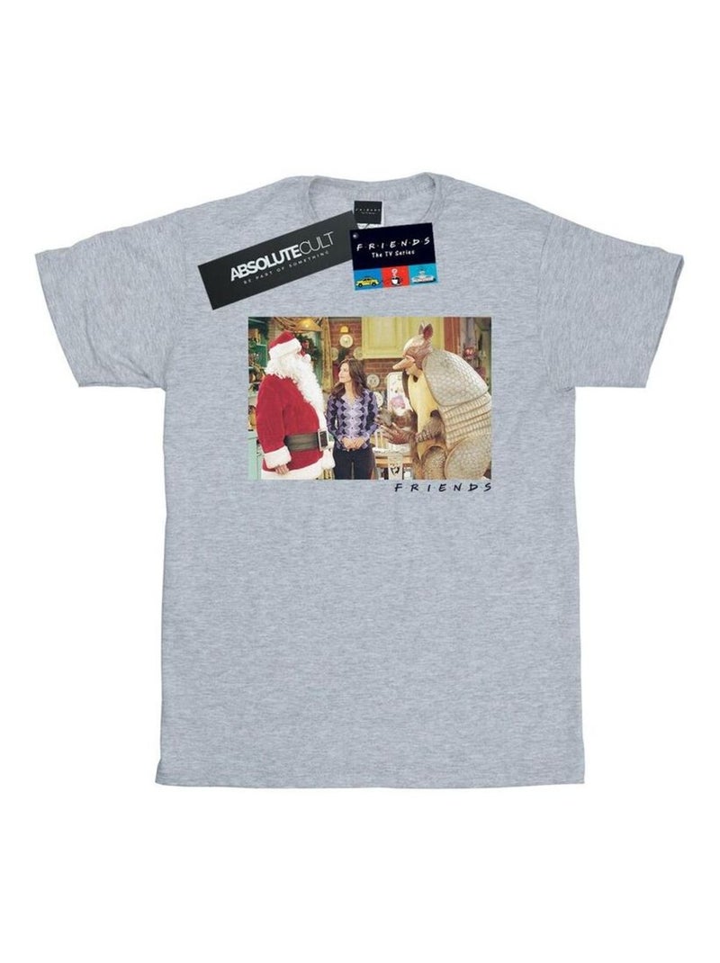Friends - T-shirt THE HOLIDAY ARMADILLO Gris chiné - Kiabi
