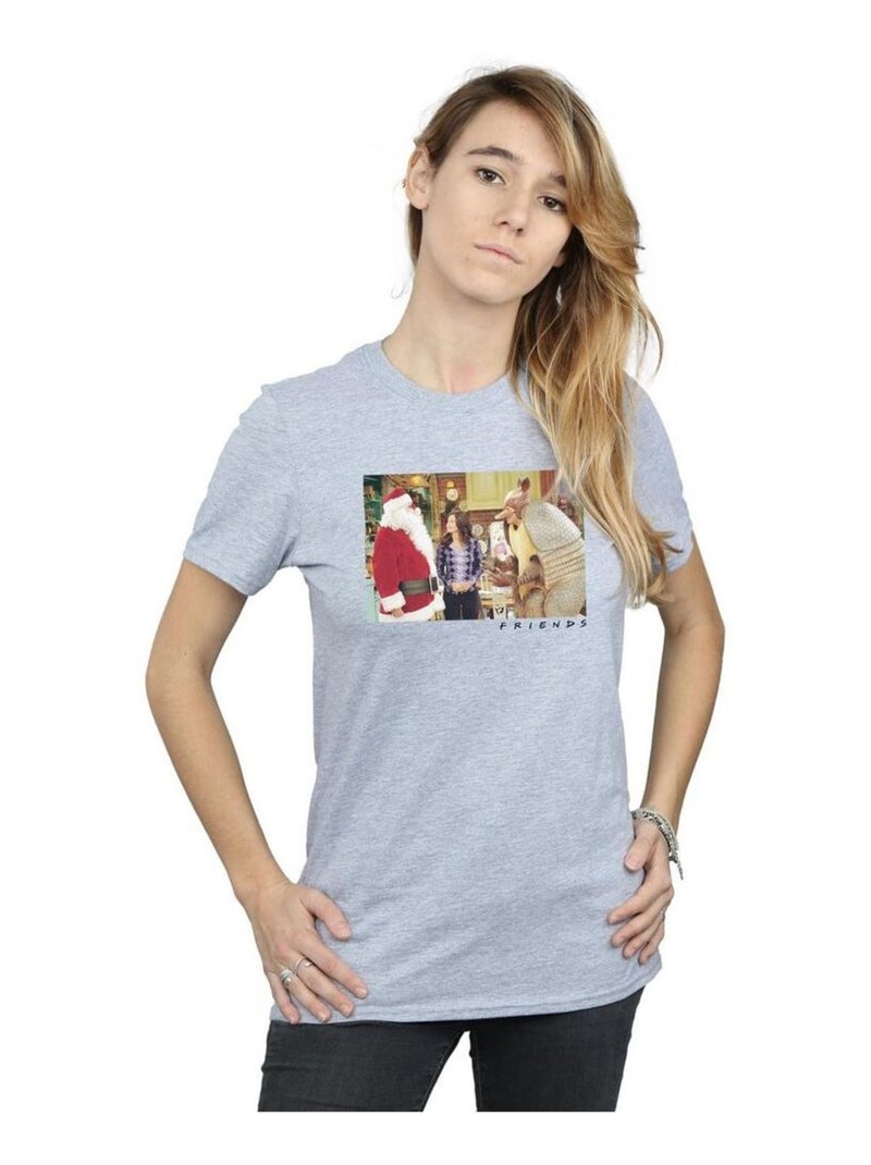 Friends - T-shirt THE HOLIDAY ARMADILLO Gris chiné - Kiabi