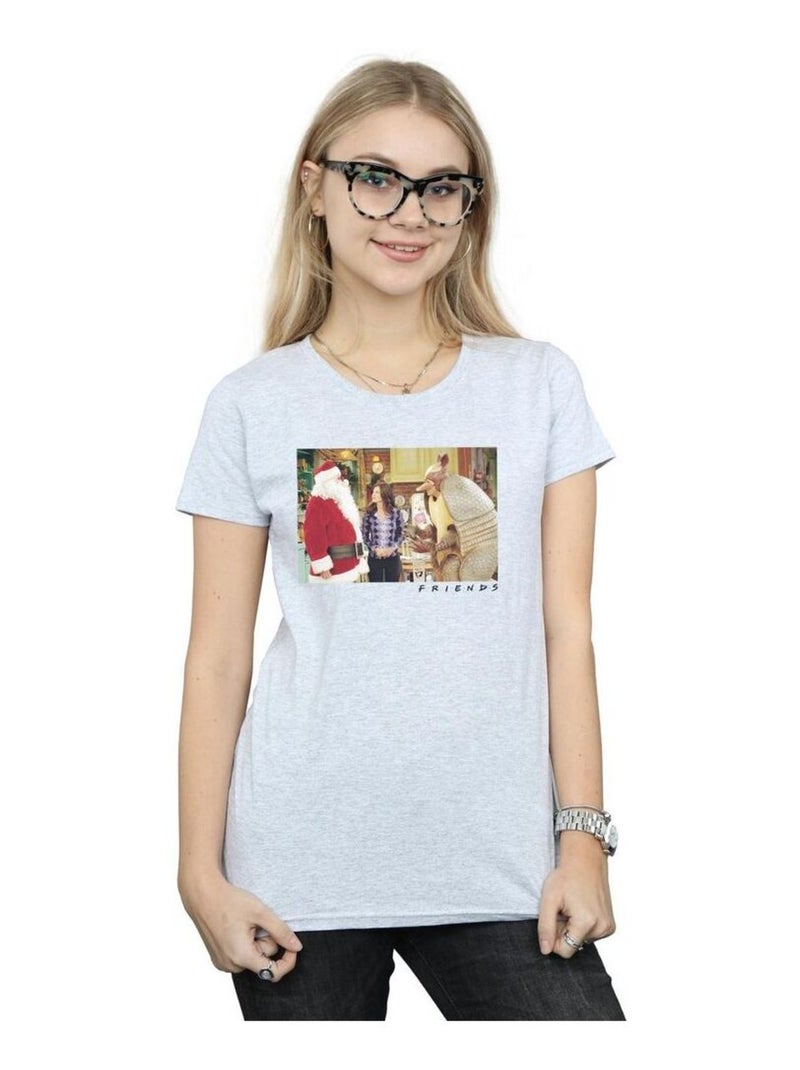 Friends - T-shirt THE HOLIDAY ARMADILLO Gris chiné - Kiabi