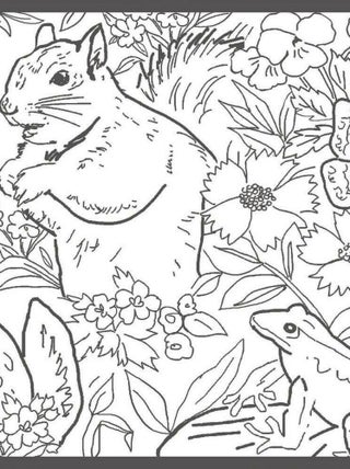 Frise Animaux de la Fôret