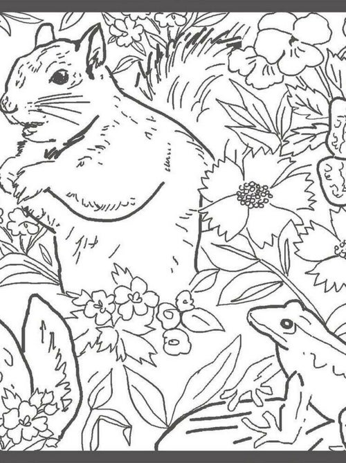 Frise Animaux de la Fôret - Kiabi