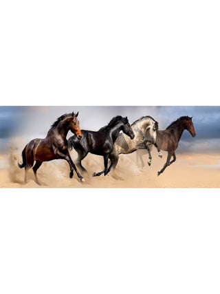Frise auto collante 4 chevaux qui galopent et sautent sur le sable -1 rouleau