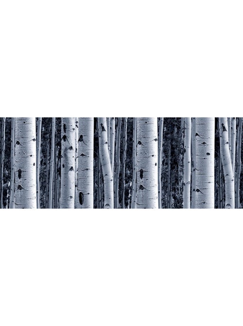 Frise auto-collante Birch - 1 rouleau de 14 cm x 500 cm - Kiabi