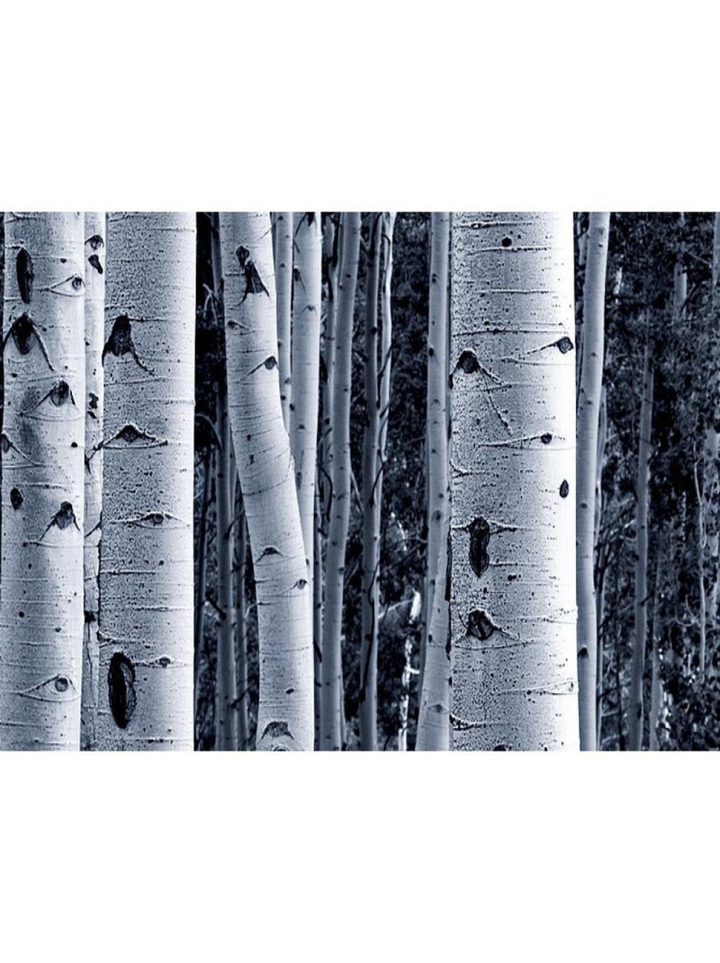 Frise auto-collante Birch - 1 rouleau de 14 cm x 500 cm Multicolore - Kiabi