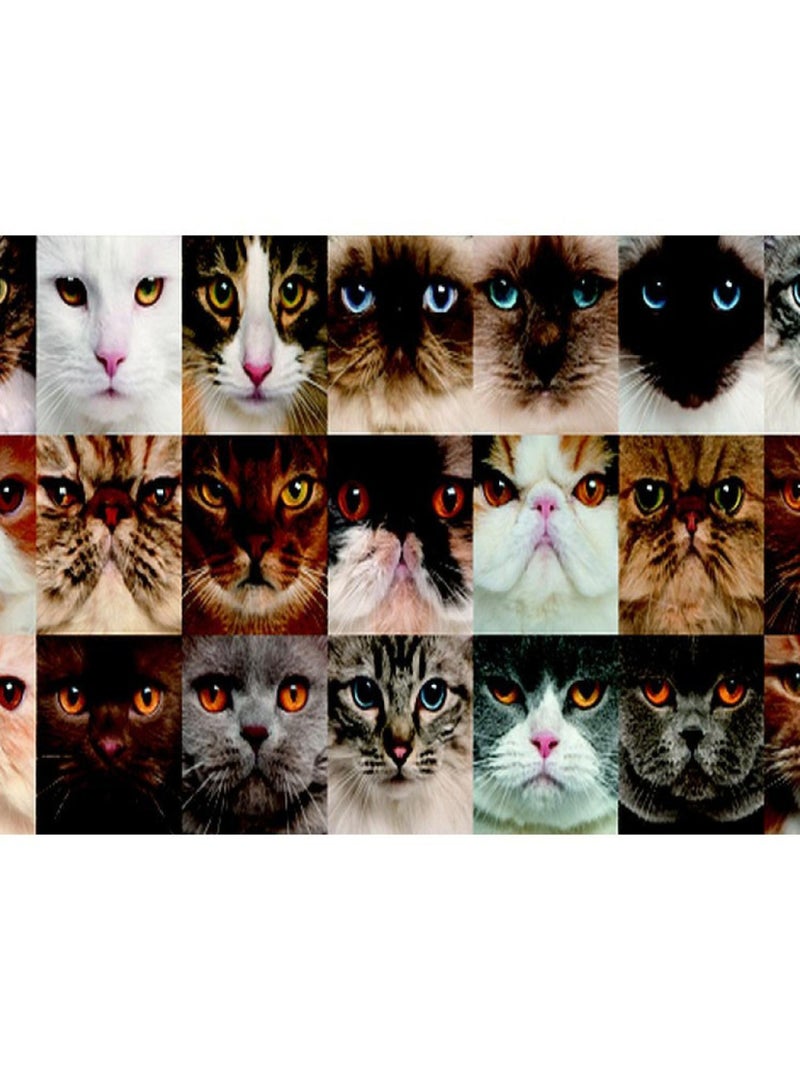 Frise auto-collante Chatons - 1 rouleau de 14 cm x 500 cm Multicolore - Kiabi