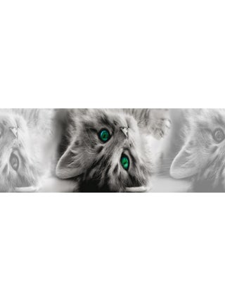 Frise auto-collante Chatons gris aux yeux verts - 1 rouleau