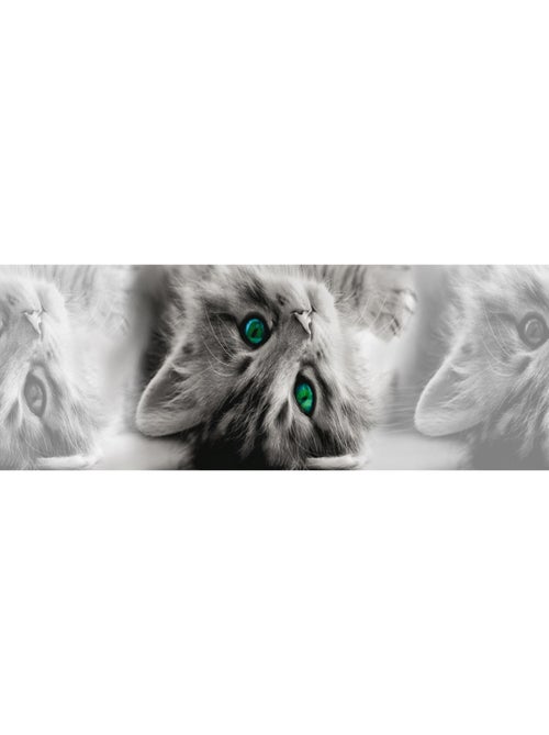 Frise auto-collante Chatons gris aux yeux verts - 1 rouleau - Kiabi