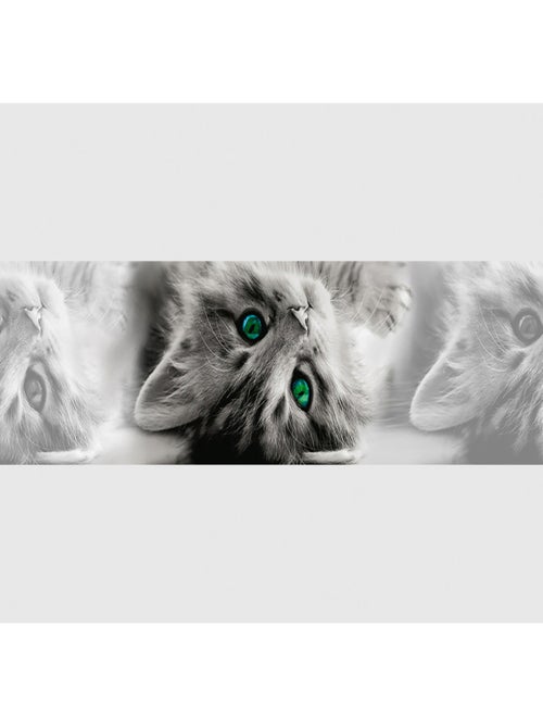 Frise auto-collante Chatons gris aux yeux verts - 1 rouleau - Kiabi