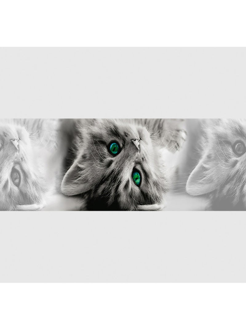 Frise auto-collante Chatons gris aux yeux verts - 1 rouleau Multicolore - Kiabi