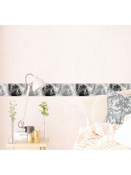 Frise auto-collante Chatons gris aux yeux verts - 1 rouleau - Kiabi