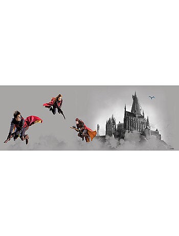Frise auto-collante Harry Potter Quidditch 3 personnages - 1 rouleau de 0,97 x 5 m