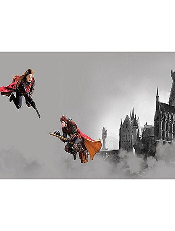 Frise auto-collante Harry Potter Quidditch 3 personnages - 1 rouleau de 0,97 x 5 m