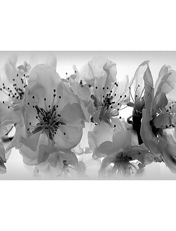 Frise auto-collante orchidées noir et blanc - 1 rouleau de 14 cm x 500 cm
