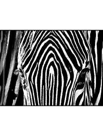 Frise auto-collante Zebra - 1 rouleau de 14 cm x 500 cm