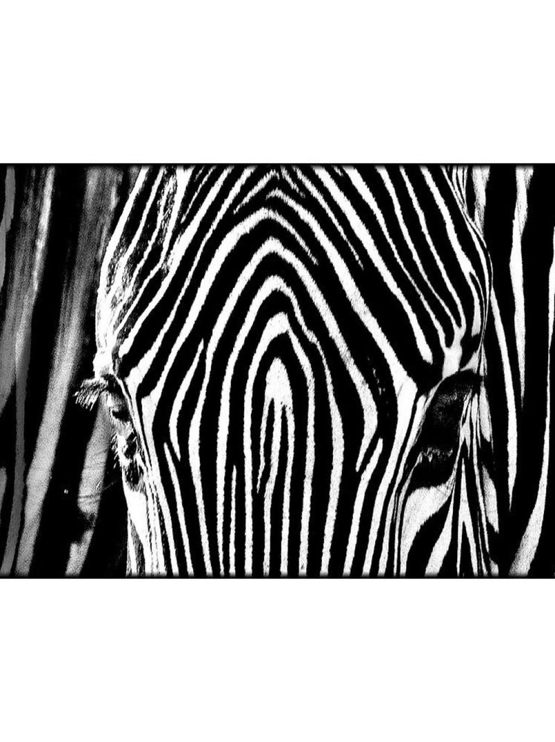 Frise auto-collante Zebra - 1 rouleau de 14 cm x 500 cm Noir Noir - Kiabi