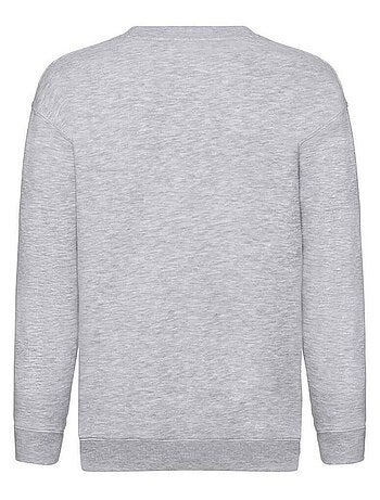 Fruit of the Loom - Pull PREMIUM