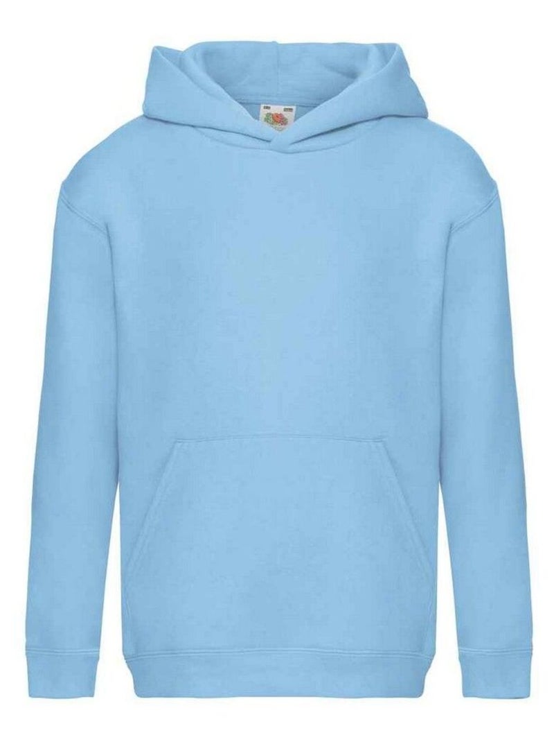Fruit of the Loom - Sweat à capuche PREMIUM Bleu ciel - Kiabi