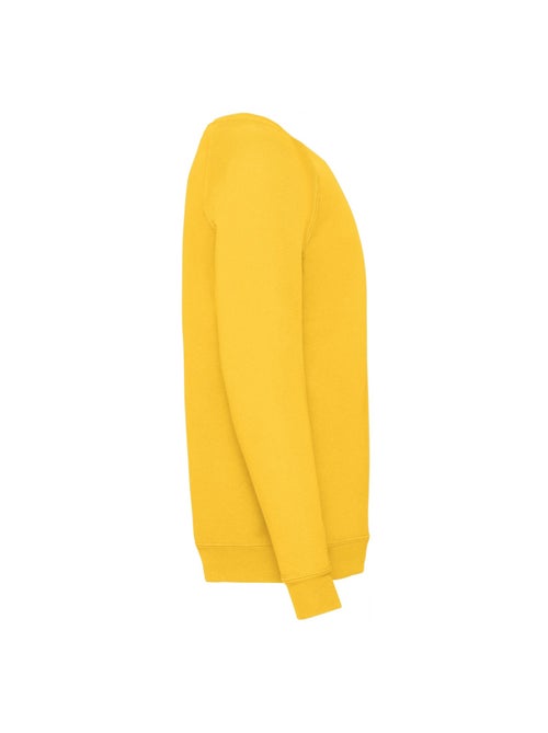 Fruit of the Loom - Sweat CLASSIC - Kiabi Fruit of the Loom - Sweat CLASSIC - Kiabi