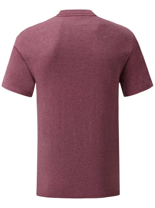 Fruit of the Loom - T-shirt ICONIC - Kiabi