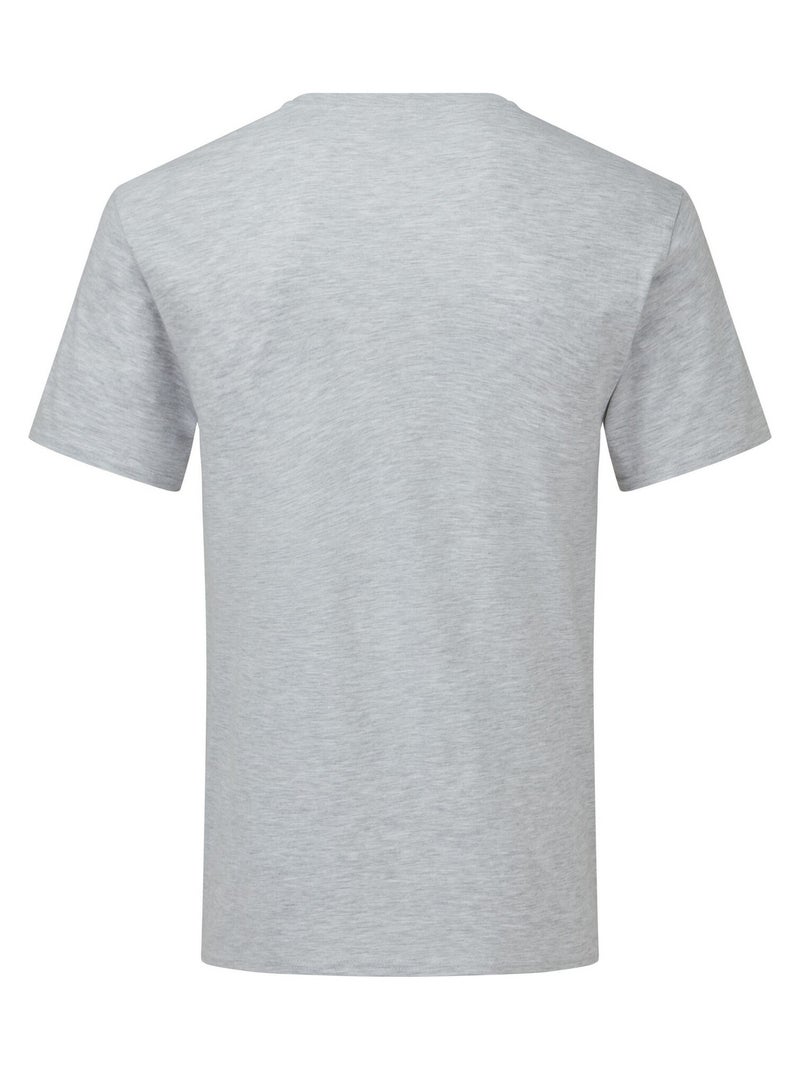 Fruit of the Loom - T-shirt ICONIC Gris - Kiabi