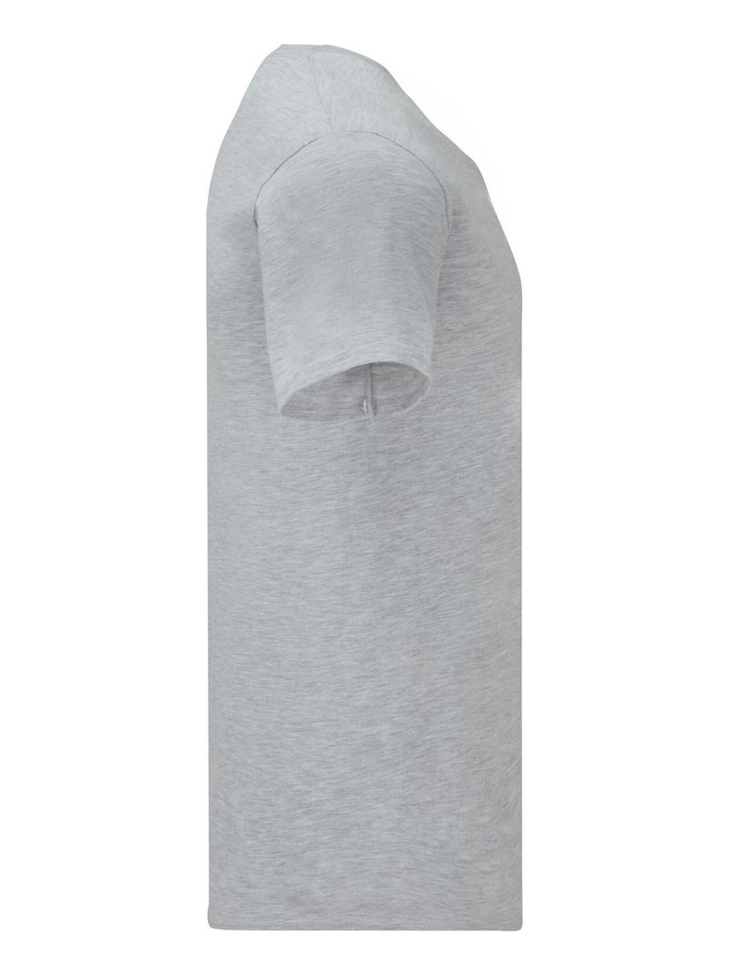 Fruit of the Loom - T-shirt ICONIC Gris - Kiabi