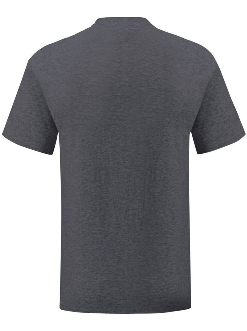 Fruit of the Loom - T-shirt ICONIC Gris foncé - Kiabi