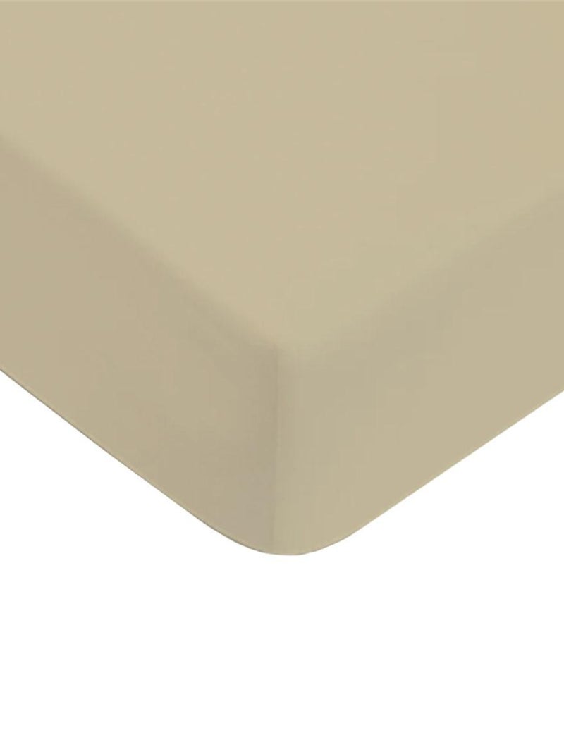 Future Home - Drap housse en coton 57 fils uni Beige - Kiabi