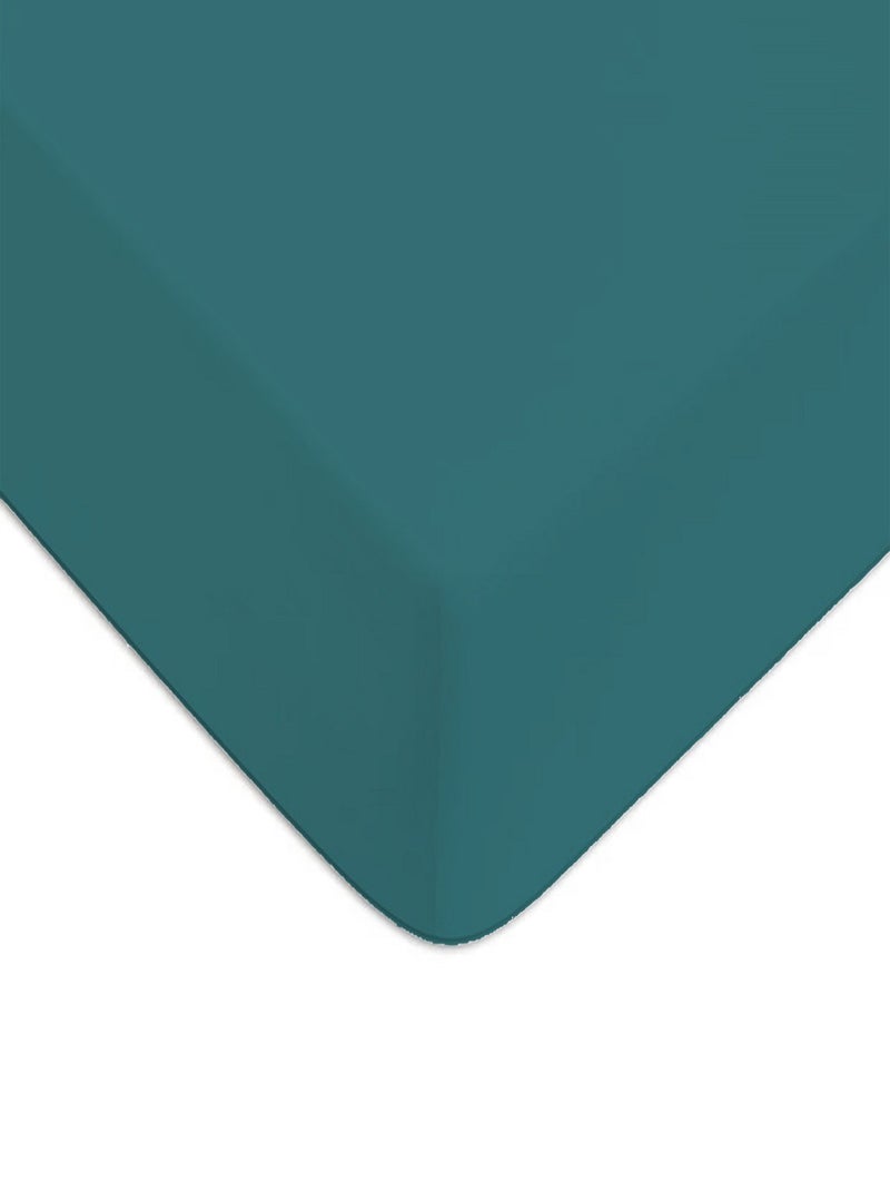 Future Home - Drap housse en coton 57 fils uni Bleu pétrole - Kiabi