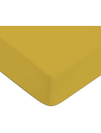 Future Home - Drap housse en coton 57 fils uni bonnet 25cm