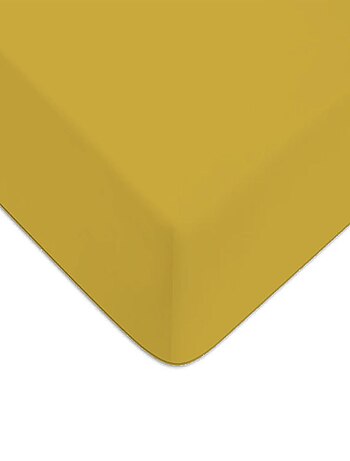 Future Home - Drap housse en coton 57 fils uni bonnet 25cm