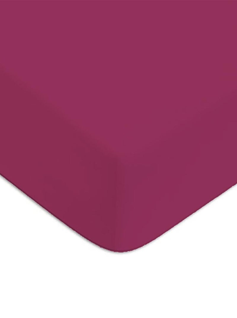 Future Home - Drap housse en coton 57 fils uni bonnet 25cm Magenta - Kiabi