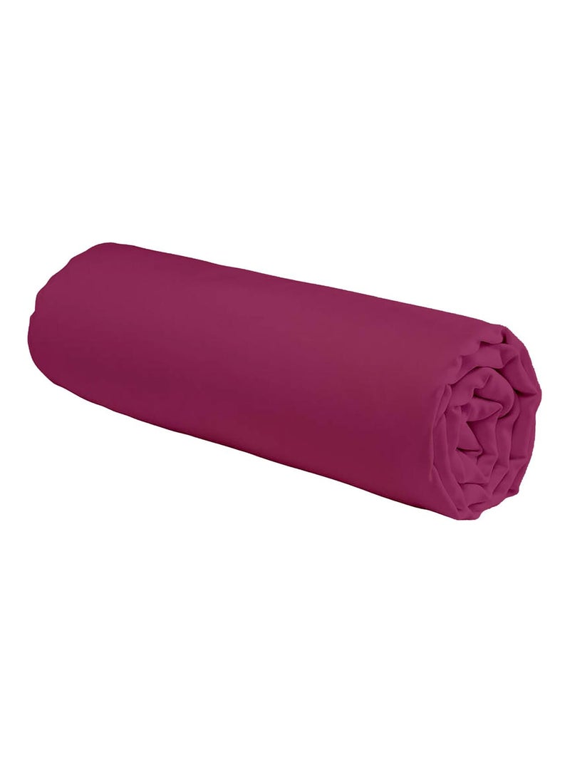 Future Home - Drap housse en coton 57 fils uni bonnet 25cm Magenta - Kiabi