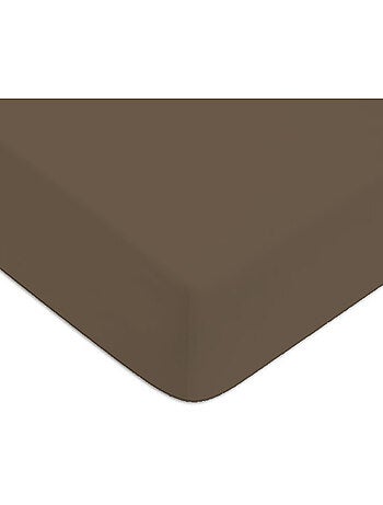 Future Home - Drap housse en coton 57 fils uni bonnet 25cm