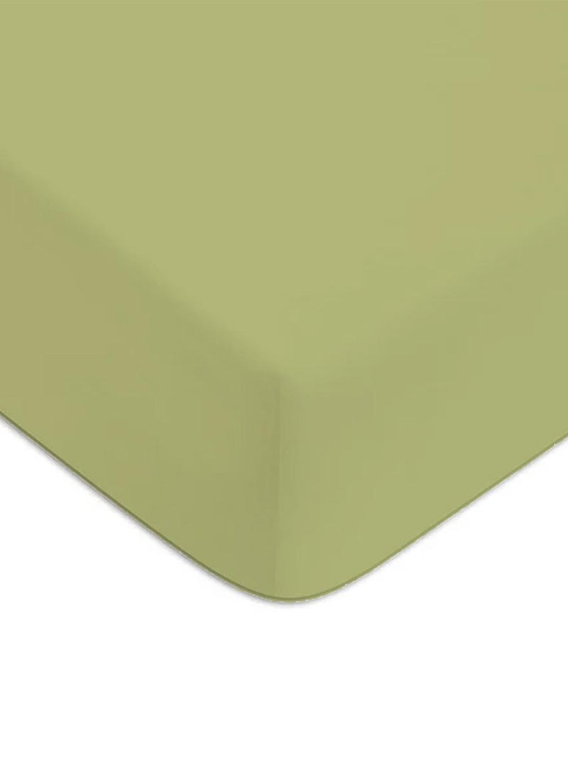 Future Home - Drap housse en coton 57 fils uni bonnet 25cm Vert - Kiabi