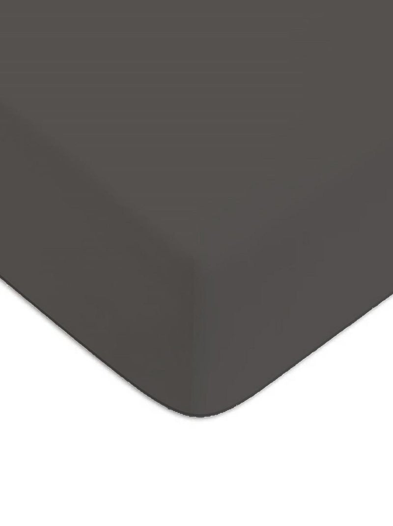 Future Home - Drap housse en coton 57 fils uni Gris - Kiabi