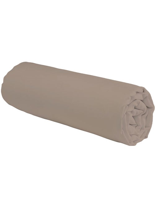 Future Home - Drap housse en coton 57 fils uni - Kiabi