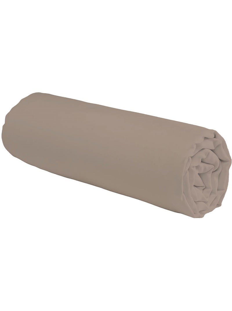 Future Home - Drap housse en coton 57 fils uni Gris taupe - Kiabi