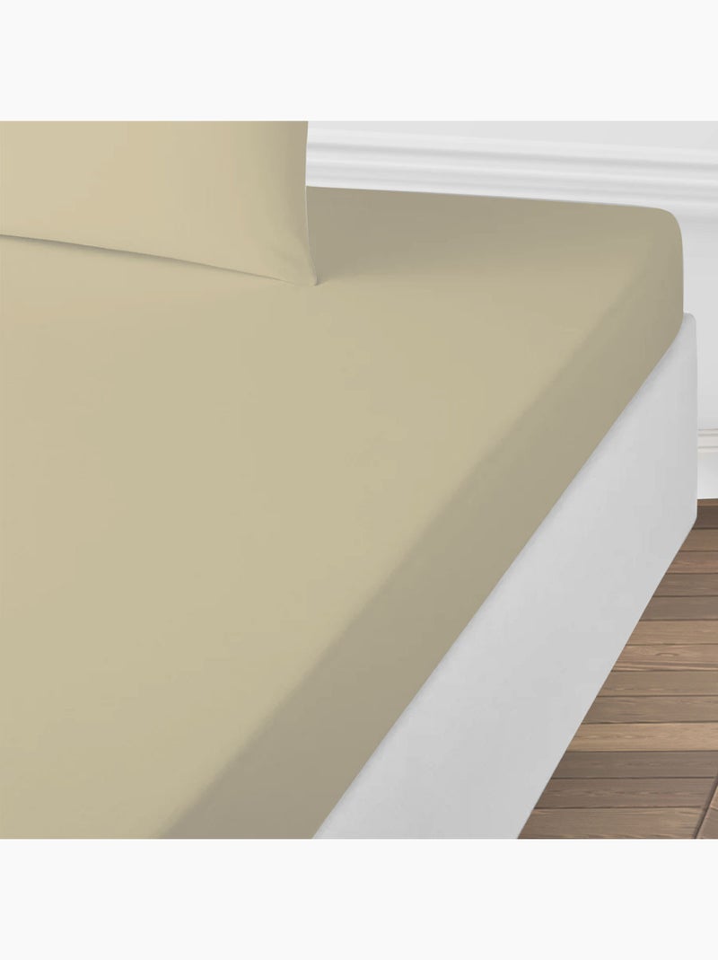 Future Home - Drap housse uni en coton 57 fils Beige - Kiabi