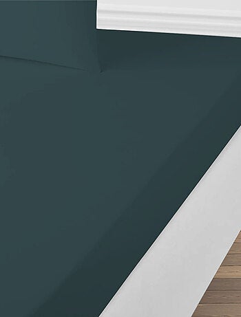 Future Home - Drap housse uni en coton 57 fils