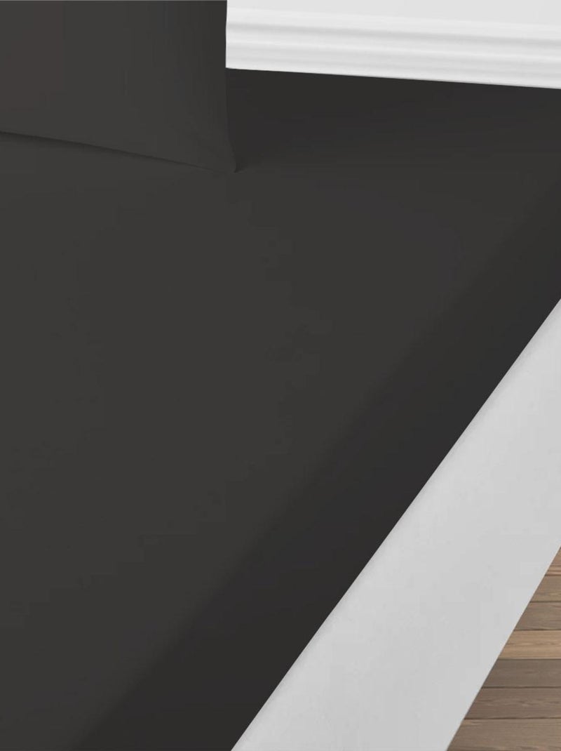 Future Home - Drap housse uni en coton 57 fils gris anthracite - Kiabi