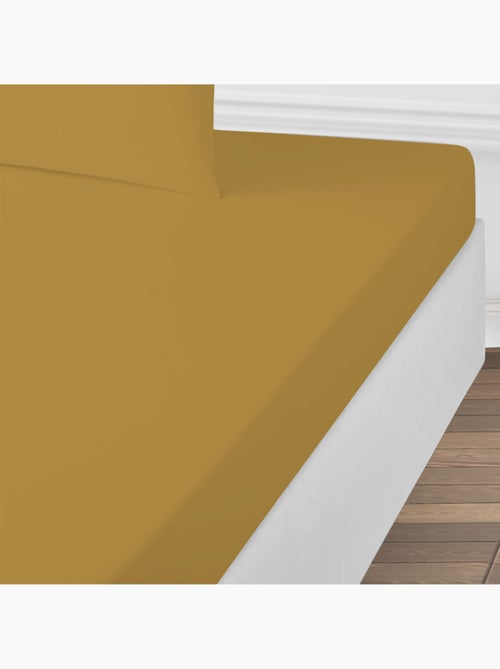 Future Home - Drap housse uni en coton 57 fils - Kiabi
