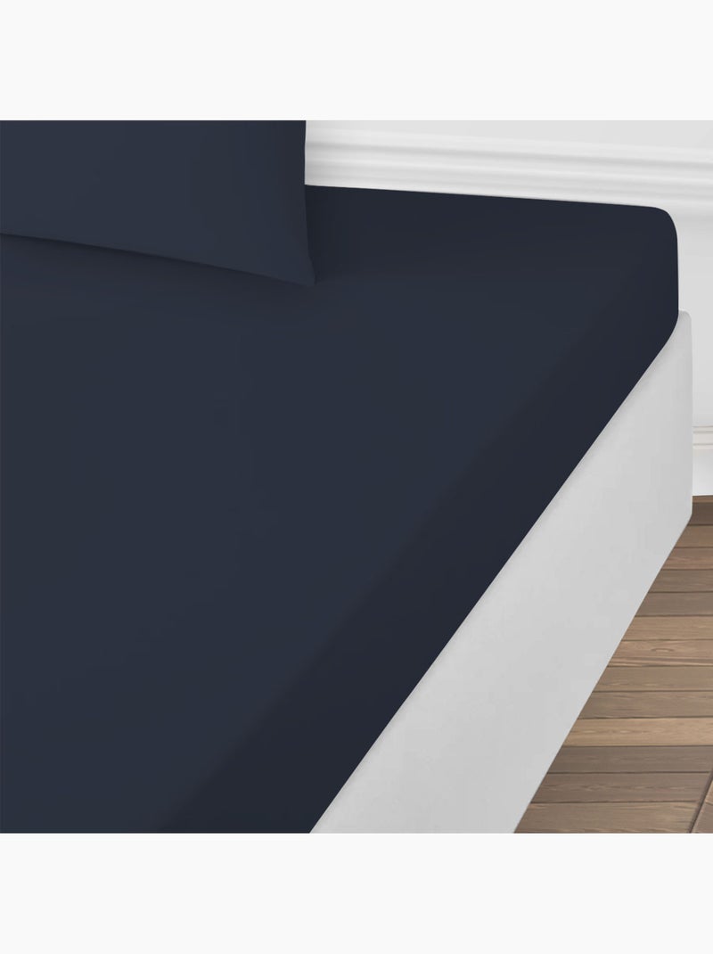 Future Home - Drap housse uni en coton 57 fils Noir Noir - Kiabi