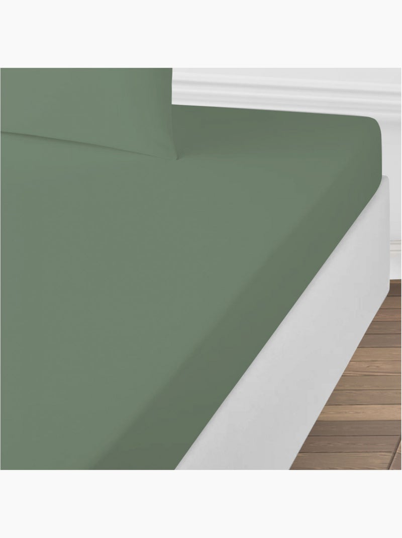 Future Home - Drap housse uni en coton 57 fils Vert de gris - Kiabi